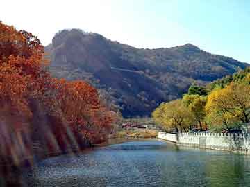 新澳天天开奖资料大全旅游团，粗苯价格